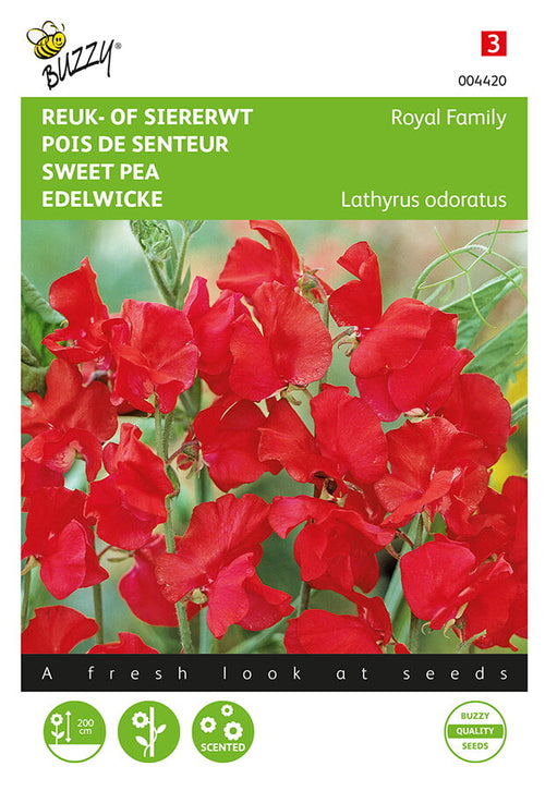 Buzzy Seeds Edelwicken Royal Family Rot
