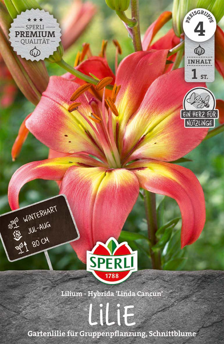SPERLI Lilie Linda Cancun