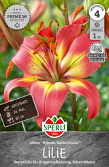 SPERLI Lilie Linda Cancun