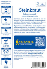 Kiepenkerl Steinkraut Schneeteppich