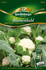 Quedlinburger Blumenkohl Multi Head ® PMHC927075