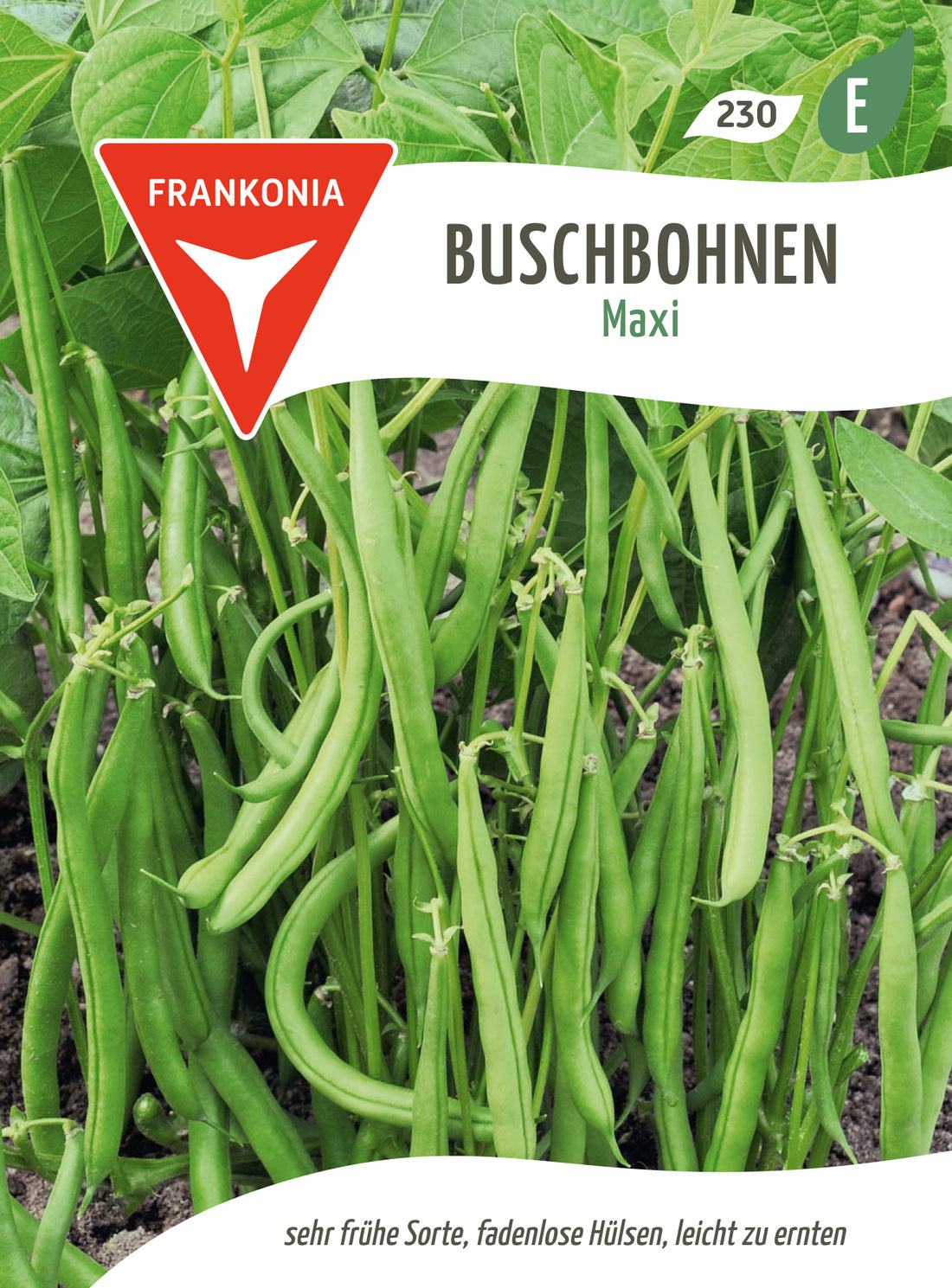 Frankonia Samen Buschbohnen Maxi