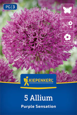 Zierlauch Purple Sensation