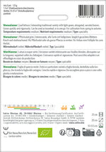 Sativa Pflücksalat grün Venezianer
