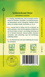 Quedlinburger Schleierkraut Rose einjährig