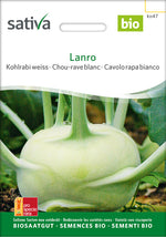 Sativa Kohlrabi weiss Lanro