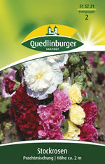 Quedlinburger Stockrose Prachtmischung