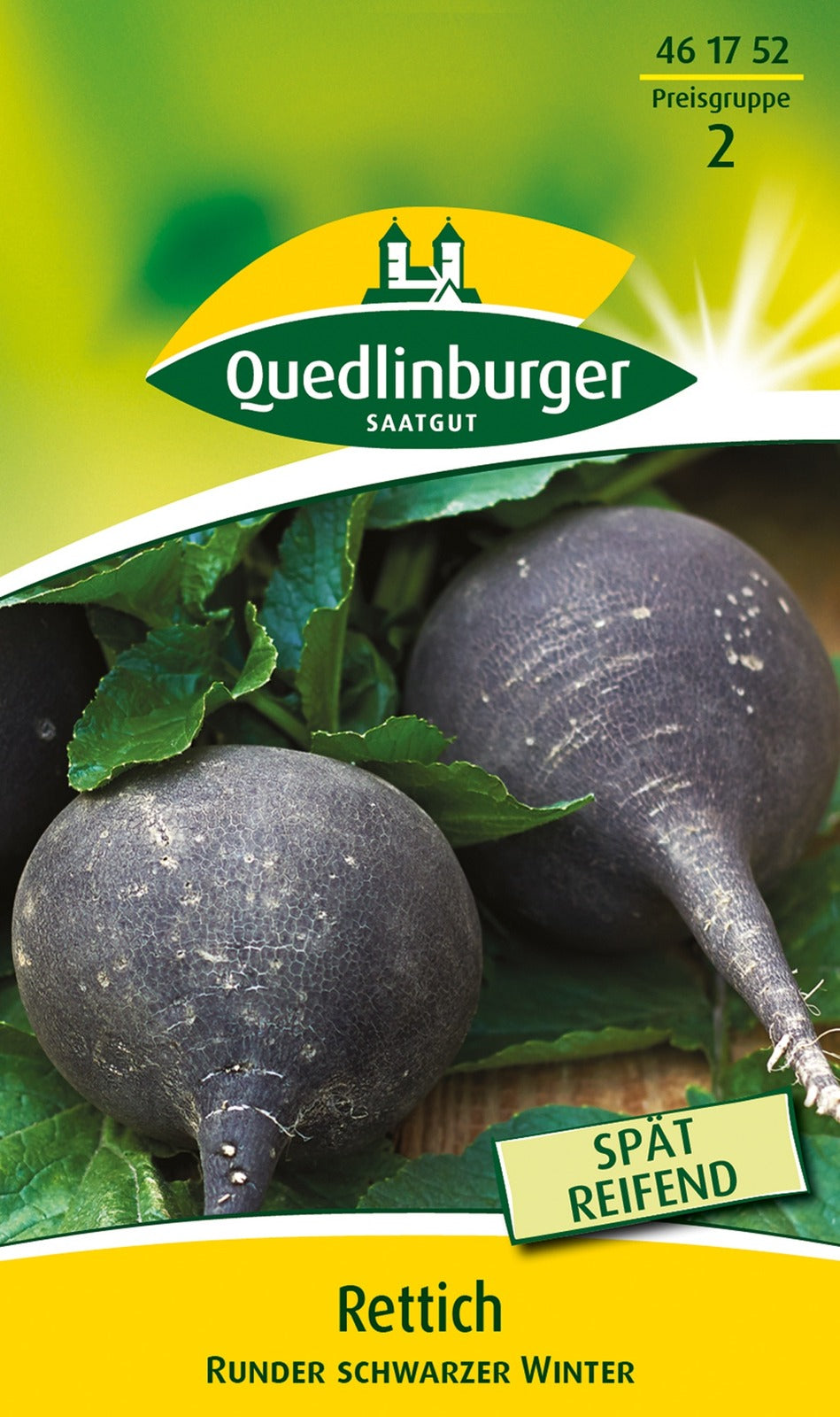 Quedlinburger Rettich Runder schwarzer Winter