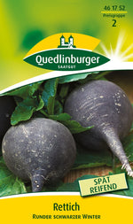 Quedlinburger Rettich Runder schwarzer Winter