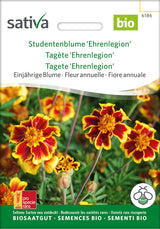 Sativa Studentenblume Ehrenlegion