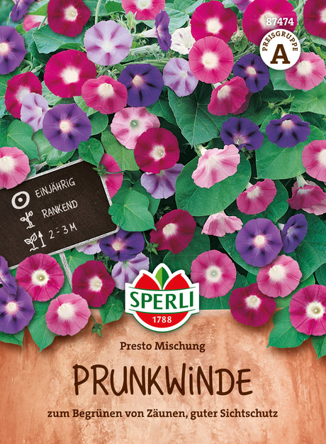 SPERLI Prunkwinde Presto Mischung