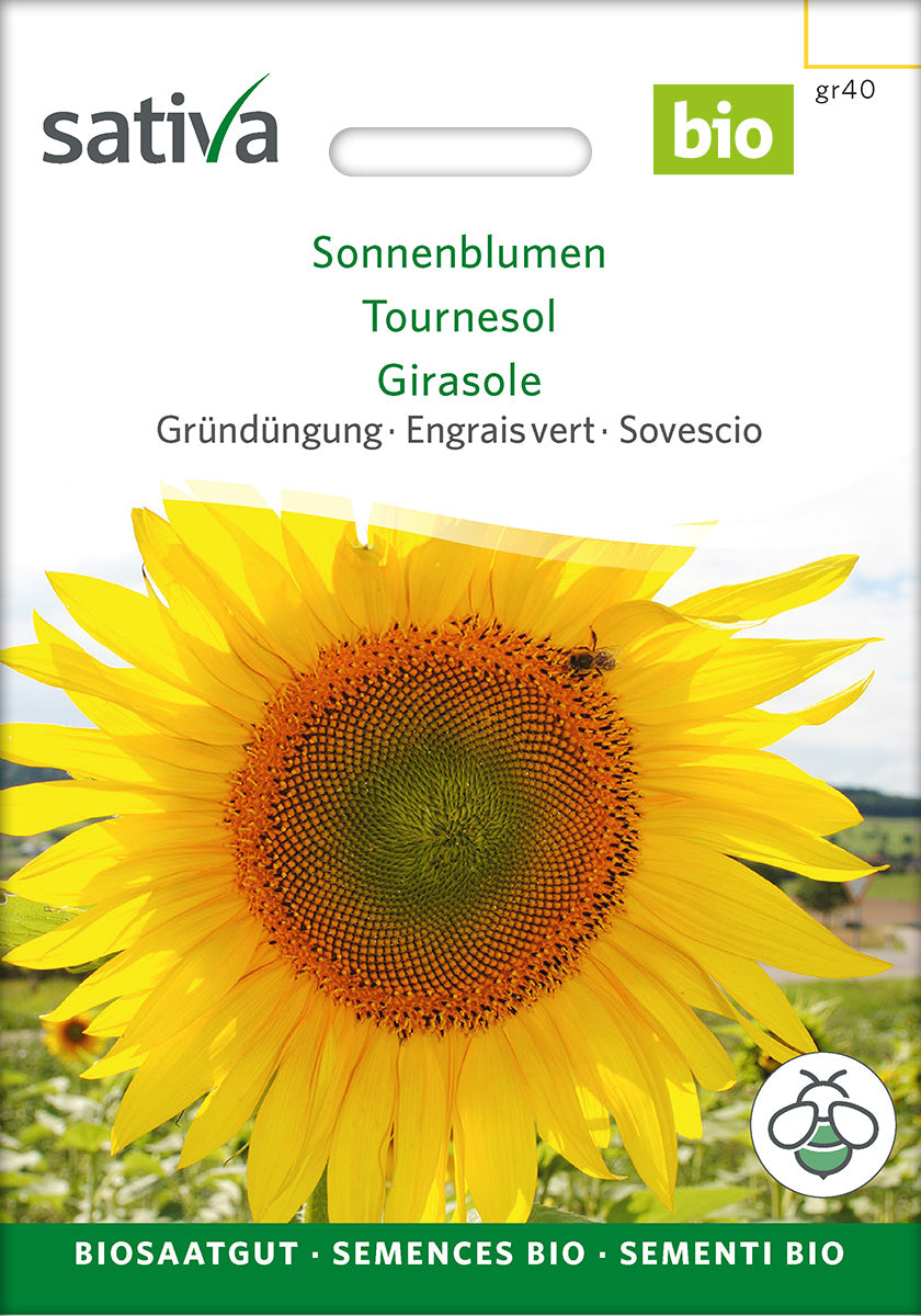 Sativa BIO Gründüngung Sonnenblumen