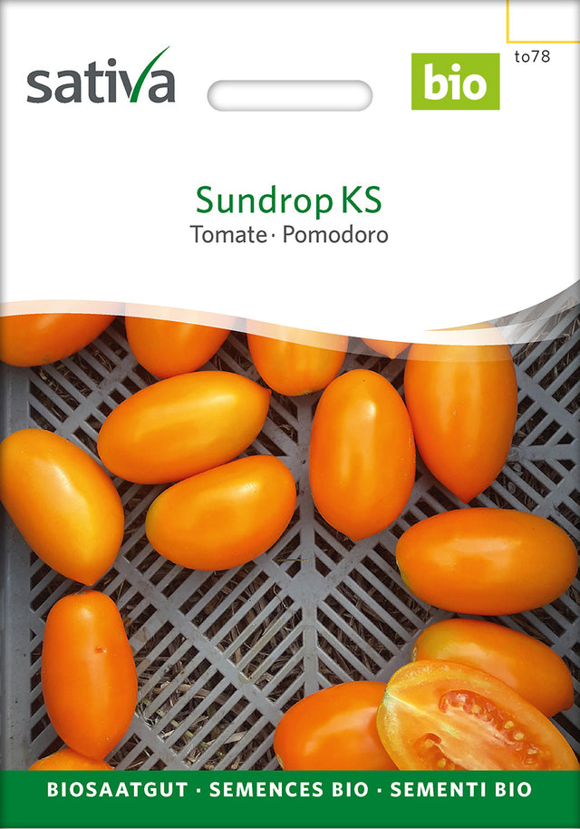 Sativa Tomate Sundrop KS