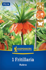 Kaiserkrone Rubra