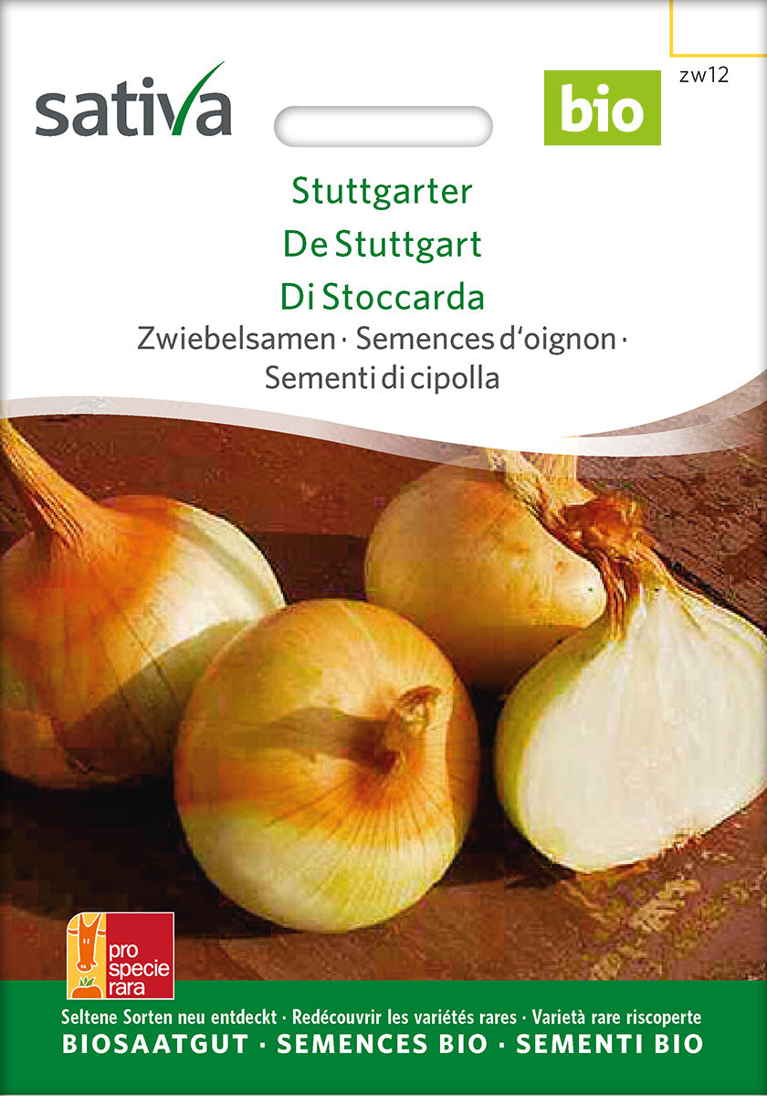 Sativa Zwiebelsamen Stuttgarter