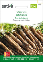 Sativa Tragopogon porrifolius Haferwurzel