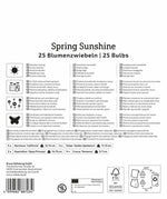 Mega Pack Spring Sunshine