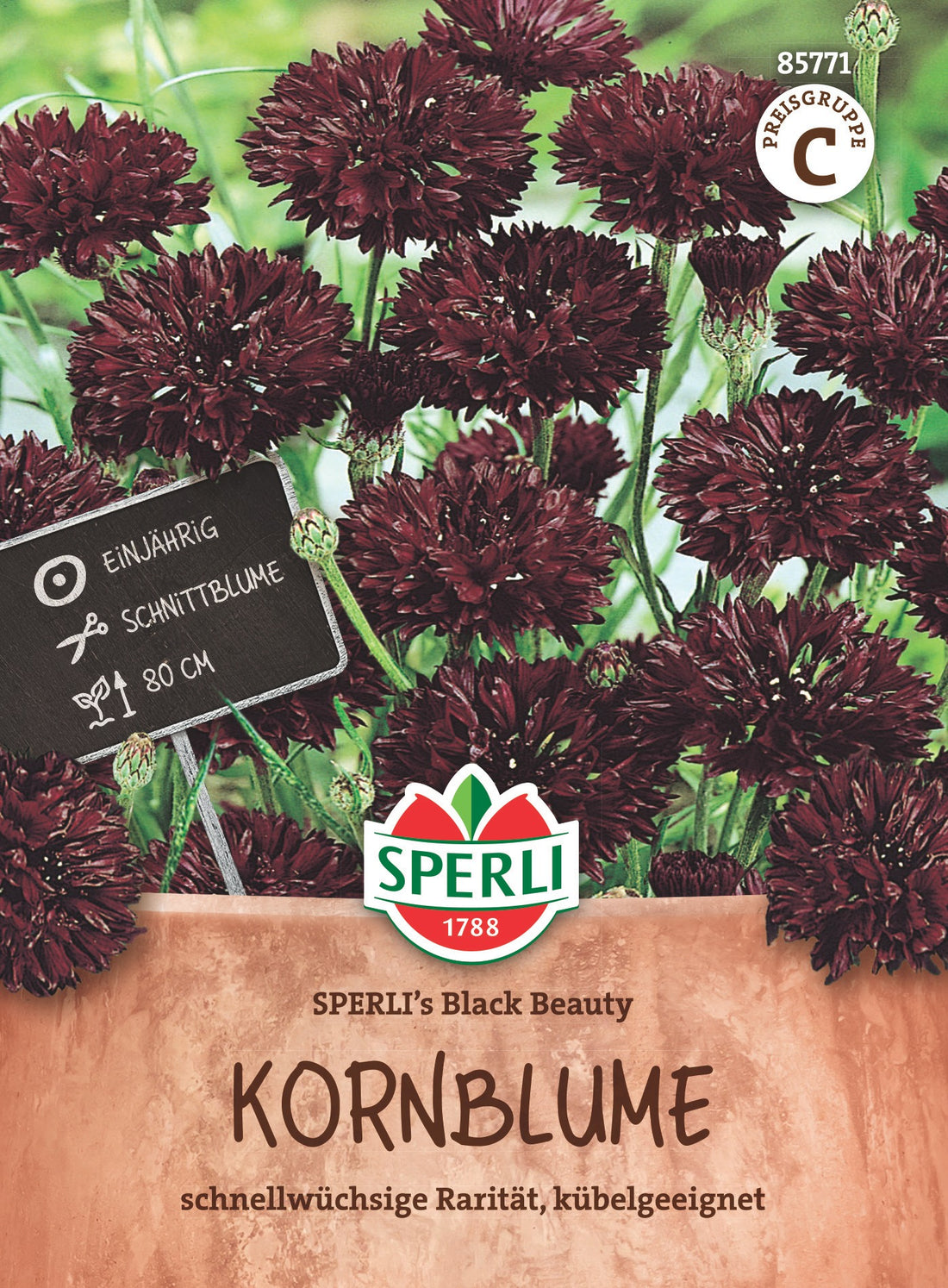 SPERLI Kornblume SPERLI's Black Beauty