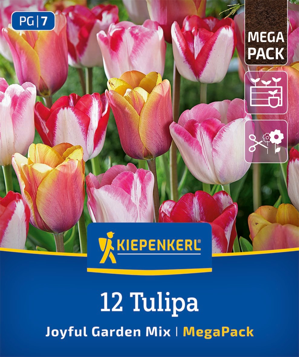 Mega Pack Joyful Garden