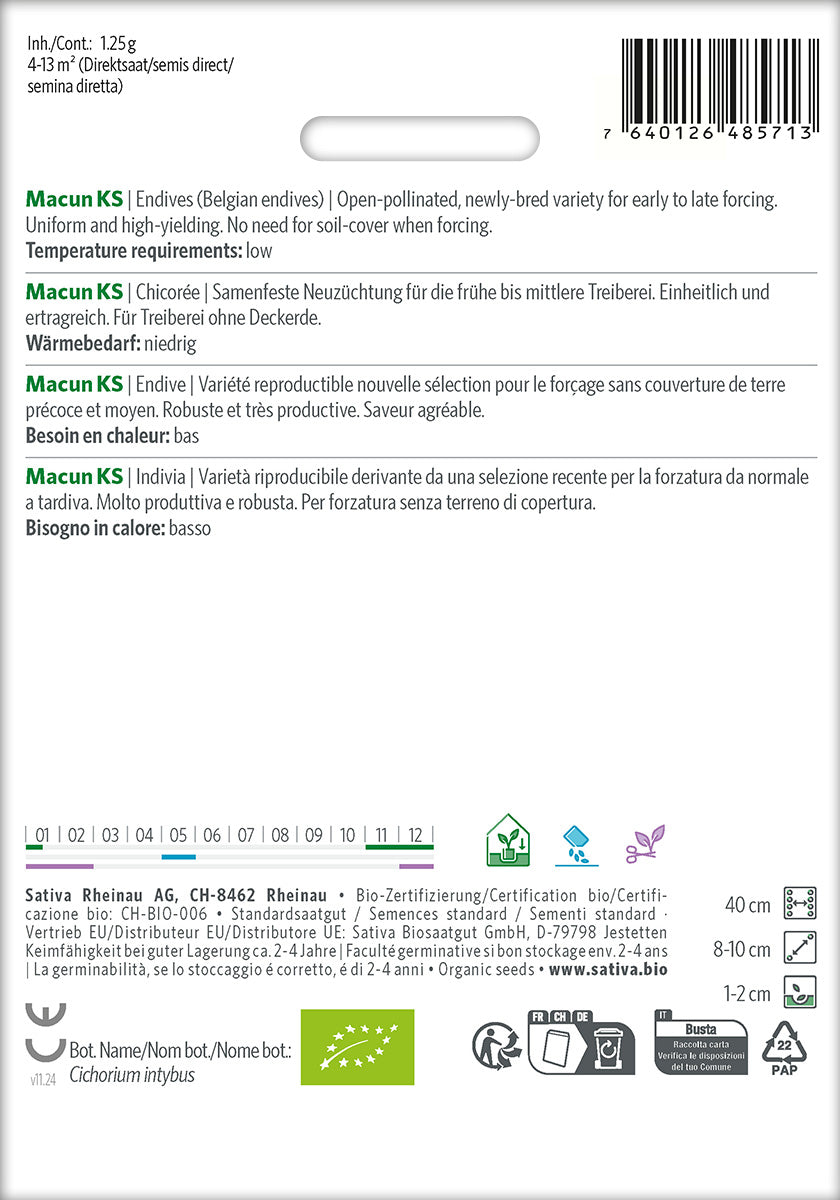 Sativa Chicorée Macun KS