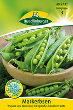 Quedlinburger Markerbse Kelvedon Wonder