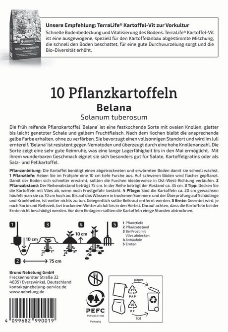Kiepenkerl Pflanzkartoffel Belana 10 Stück