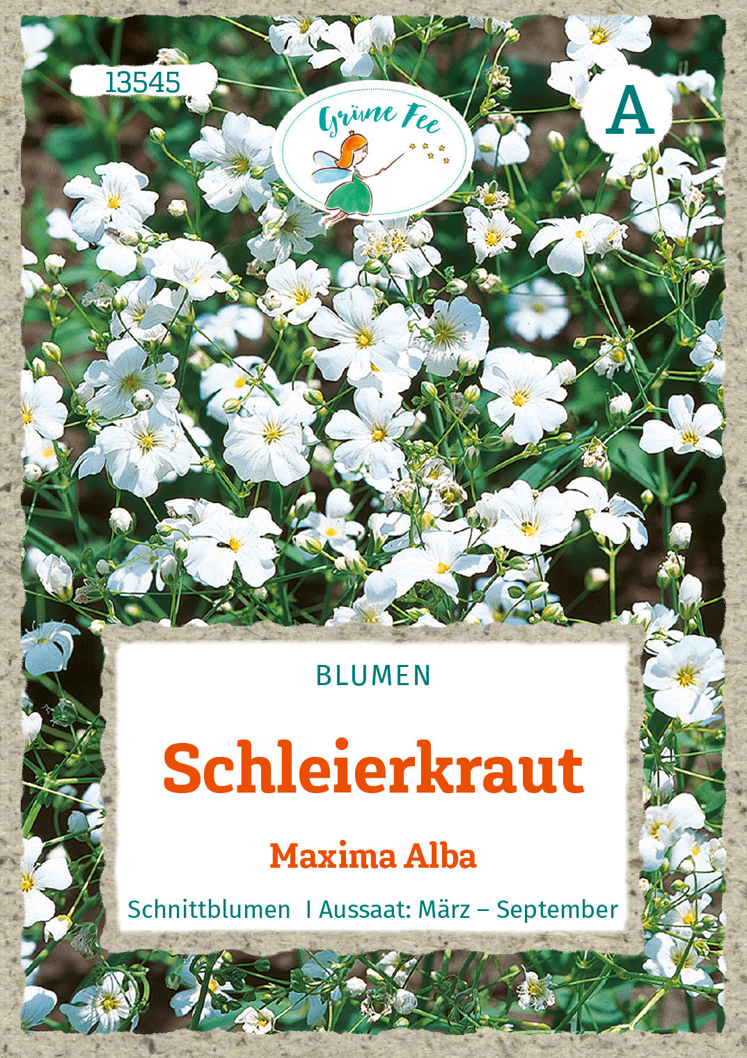 Grüne Fee Schleierkraut Maxima Alba