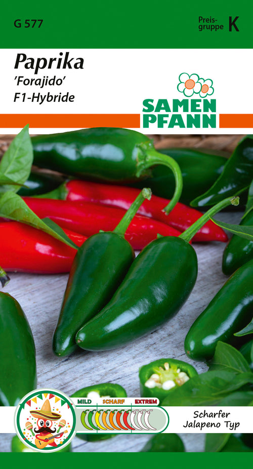 Samen Pfann Paprika Forajido