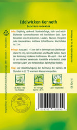Quedlinburger Duftwicke Kenneth, rot