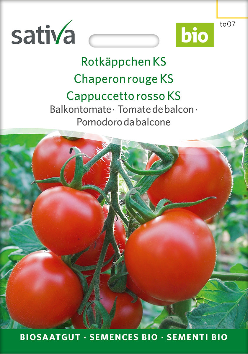 Sativa Balkontomate Rotkäppchen KS