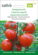 Sativa Balkontomate Rotkäppchen KS