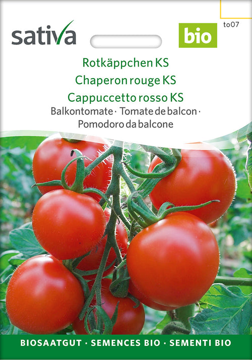 Sativa Balkontomate Rotkäppchen KS