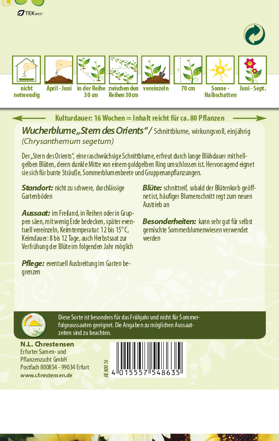 N.L. Chrestensen Wucherblume Stern des Orients