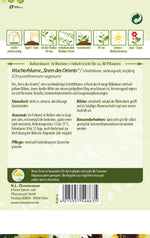 N.L. Chrestensen Wucherblume Stern des Orients