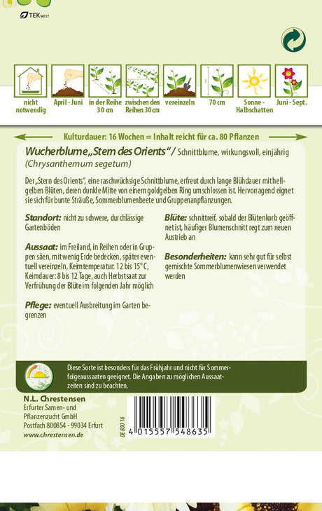 N.L. Chrestensen Wucherblume Stern des Orients