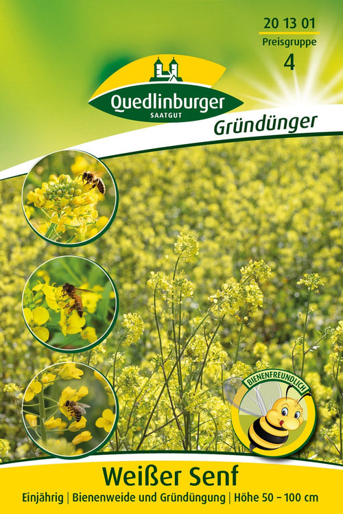 Quedlinburger Gründüngung Weißer Senf/Gelbsenf