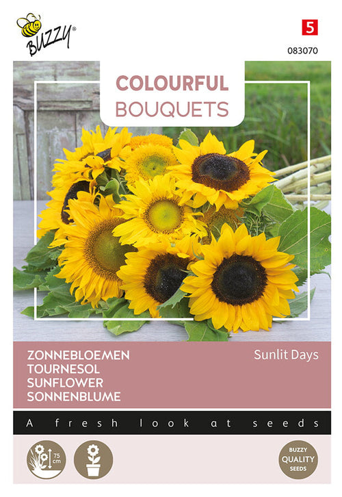 Buzzy Seeds Sonnenblume Sunlit Days
