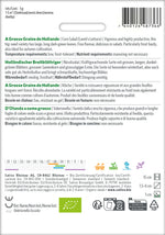 Sativa Nüsslisalat Holländischer Breitblättriger