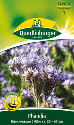 Quedlinburger Phacelia Bienenfreund