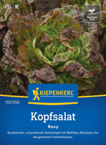 Kiepenkerl Kopfsalat Roxy