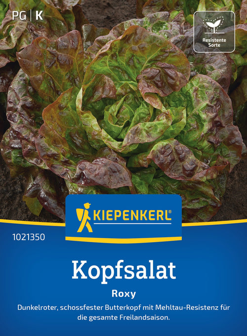 Kiepenkerl Kopfsalat Roxy