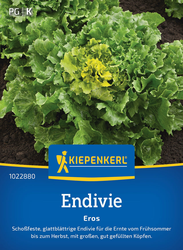 Kiepenkerl Endiviensalat Eros