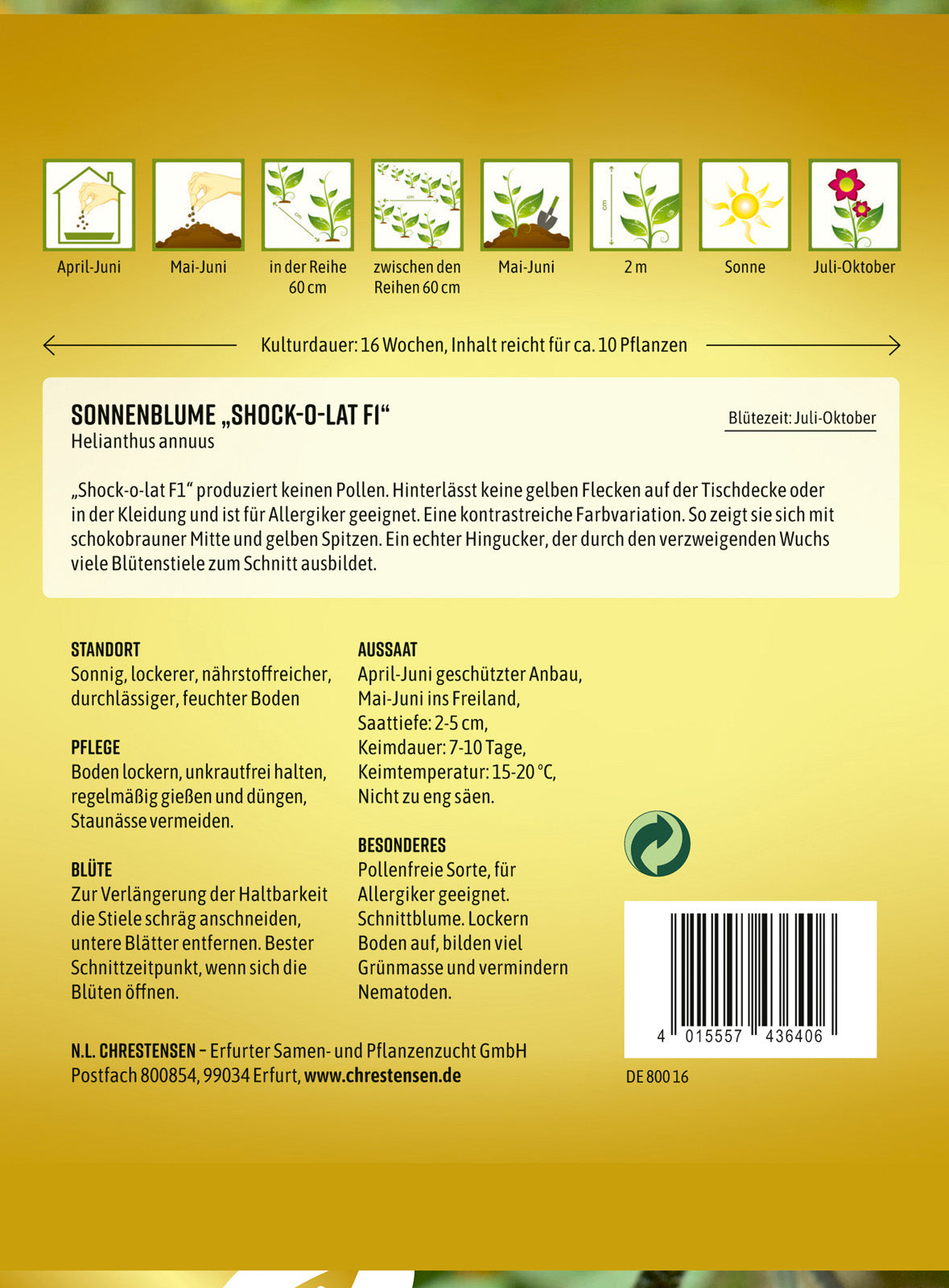 N.L. Chrestensen Sonnenblume Shock-o-lat F1