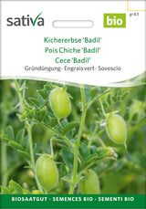 Sativa BIO Gründüngung Kichererbse 'Badil'
