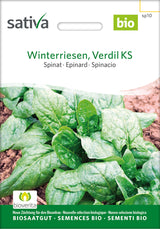 Sativa Spinat Winterriesen, Verdil KS