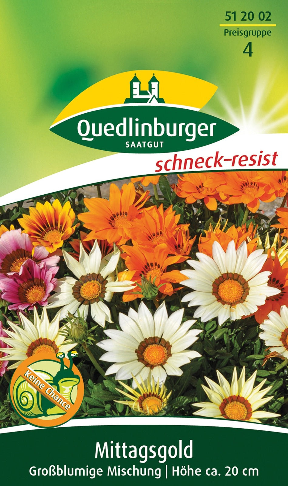 Quedlinburger Mittagsgold - Gazanien großblumige Mischung