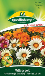 Quedlinburger Mittagsgold - Gazanien großblumige Mischung