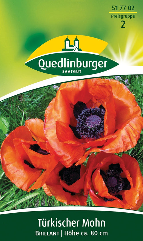 Quedlinburger Türkischer Mohn Brilliant, rot