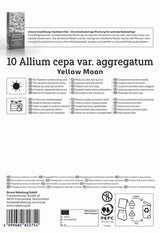 Kiepenkerl Schalotte Yellow Moon 10 Stück