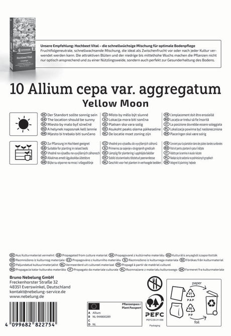 Kiepenkerl Schalotte Yellow Moon 10 Stück